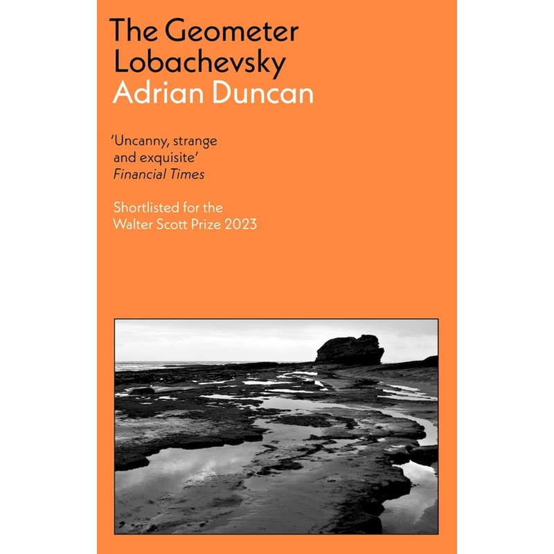 The Geometer Lobachevsky