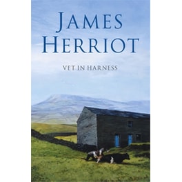 Vet in Harness