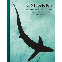 The Lives of Sharks