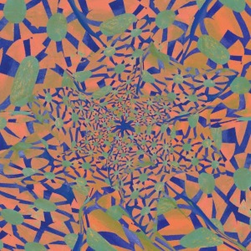 The Shovel Is A Shovel Was A Shovel (LP 12)