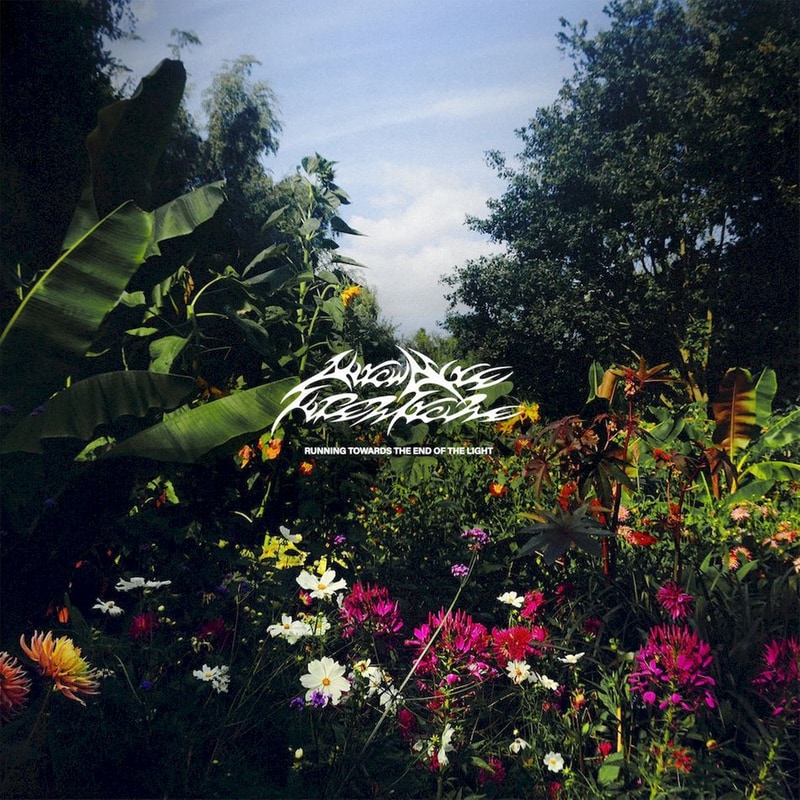 Running Towards The End Of The Light (LP Splatter + Poster)