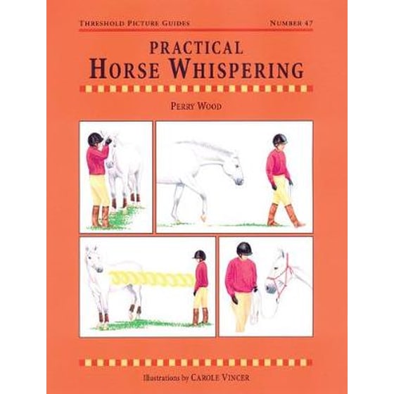 Practical Horse Whispering image 0