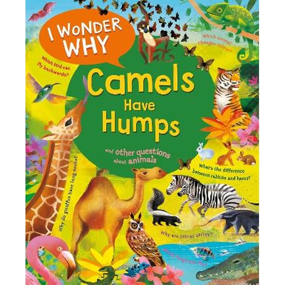 I Wonder Why Camels Have Humps image 0