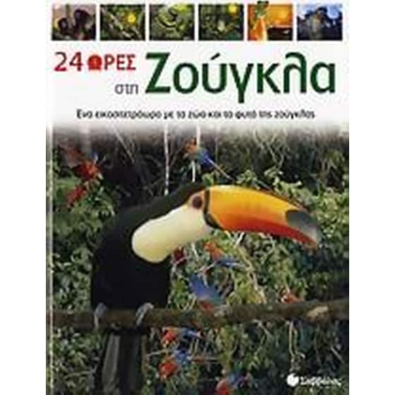 24 ώρες στη ζούγκλα image 0