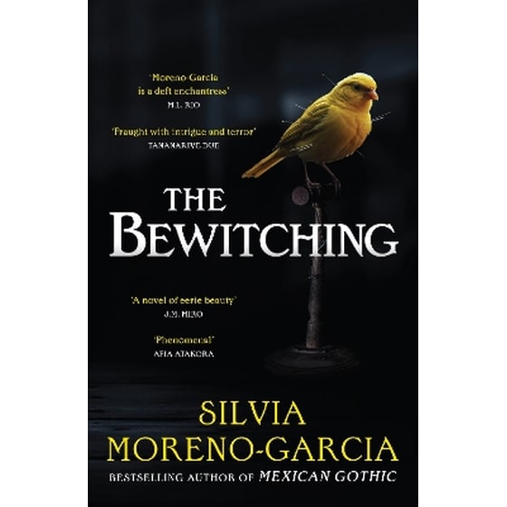 The Bewitching image 0