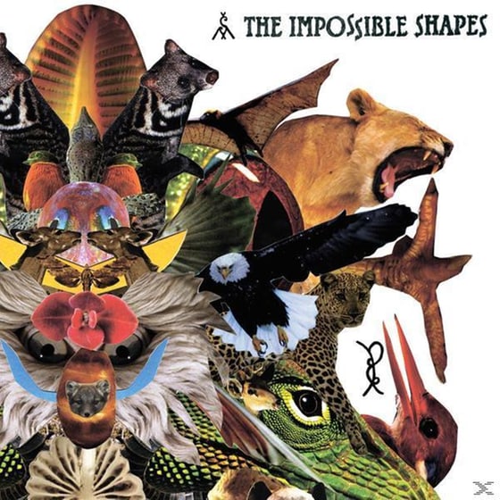 The Impossible Shapes image 0