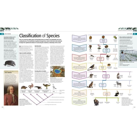 Science image 2