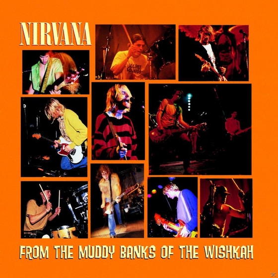 From The Muddy Banks Of The Wishkah image 0