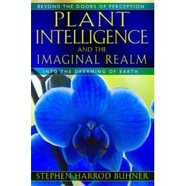 Plant Intelligence and the Imaginal Realm