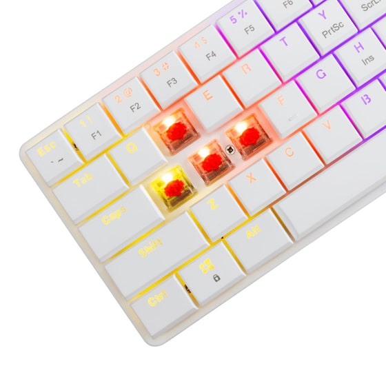White Shark Nagamaki Ενσύρματο Gaming Πληκτρολόγιο με Red διακόπτες - White (US) image 3