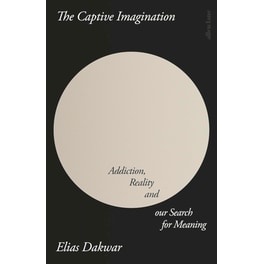 The Captive Imagination