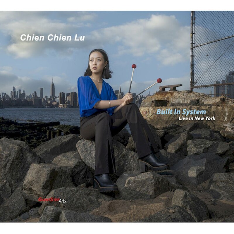 Built In System: Live In New York (LP)