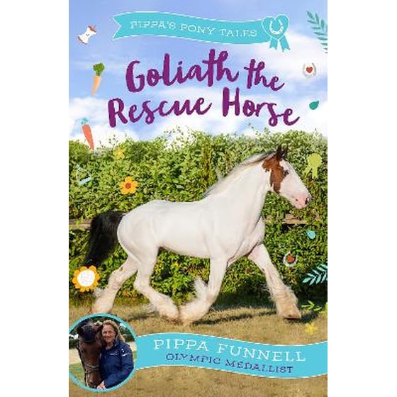 Goliath the Rescue Horse image 0