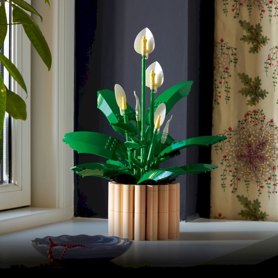 LEGO® Botanicals Σπαθίφυλλο (11504) image 7