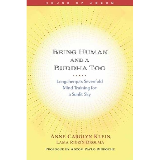 Being Human and a Buddha Too image 0