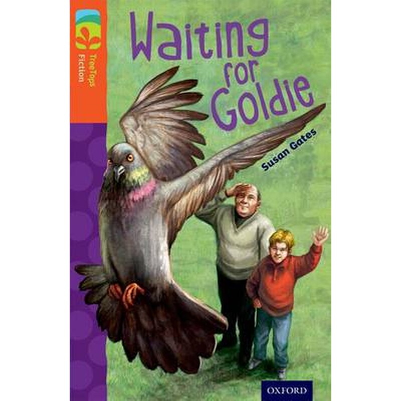 Oxford Reading Tree TreeTops Fiction- Level 13- Waiting for Goldie