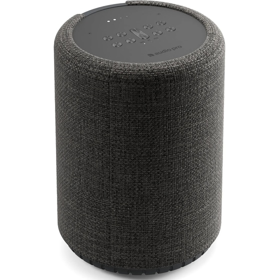 Ηχείο Audio Pro G10 52W με Wi-Fi/Bluetooth - Ανθρακί image 2