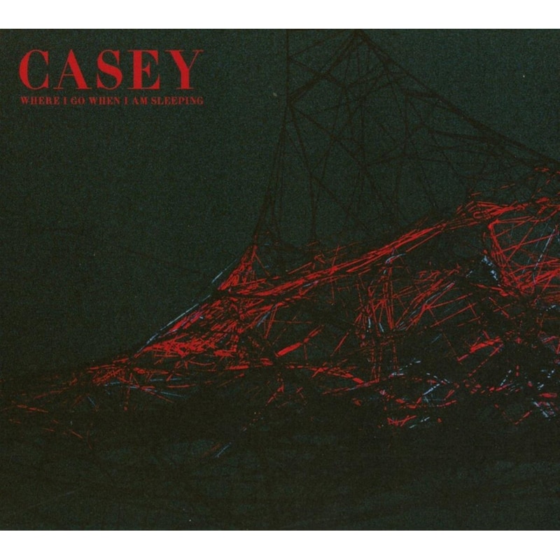 Where I Go When I Am Sleeping