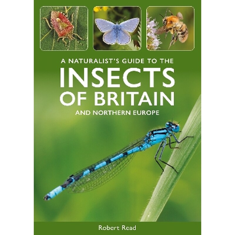 A Naturalists Guide to the Insects of Britain and Northern Europe