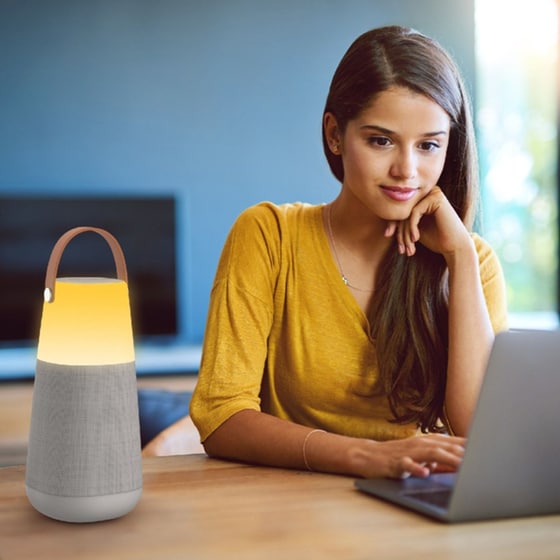 Ion Bright Max Φορητό Ηχείο 60 W - Λευκό;Γκρι image 6