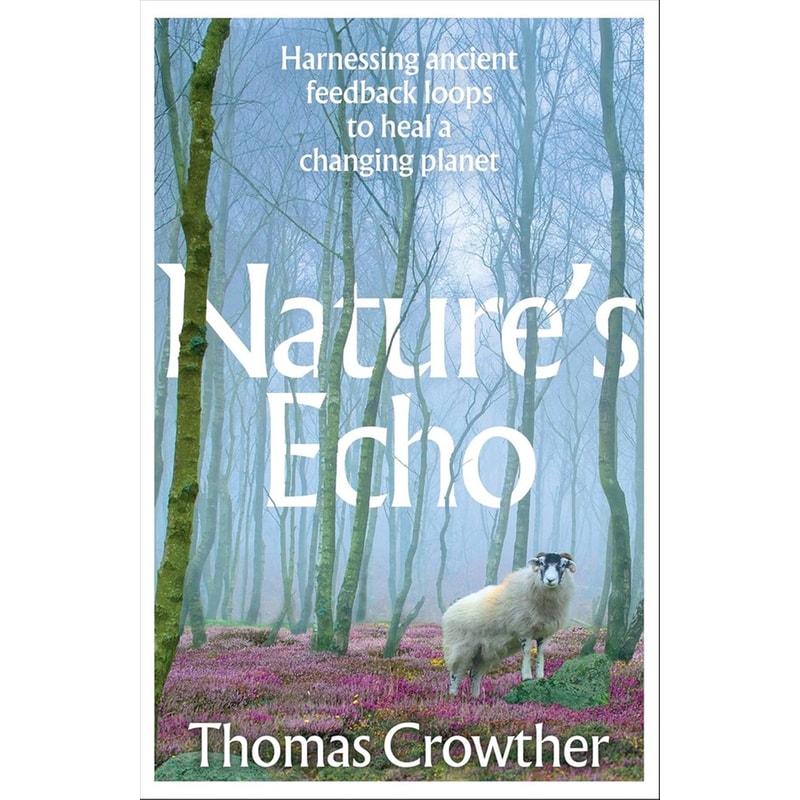 Natures Echo