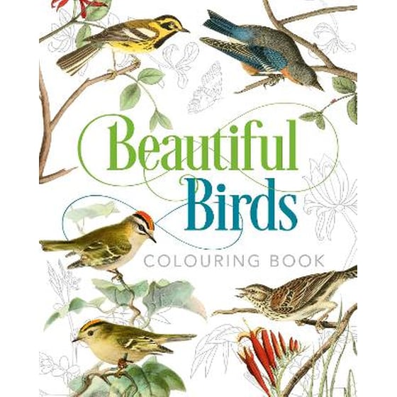 Beautiful Birds Colouring Book image 0