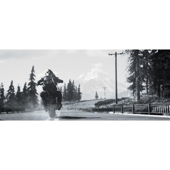 Days Gone - PS4 image 6