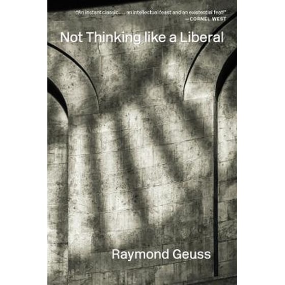 Not Thinking like a Liberal image 0