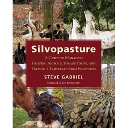 Silvopasture