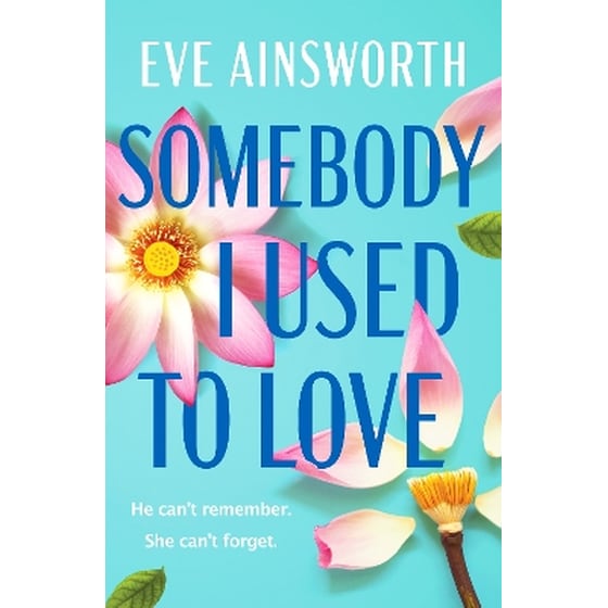 Somebody I Used to Love image 0