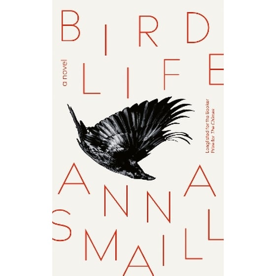 Bird Life image 0
