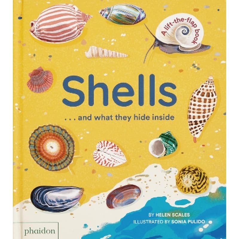 Shells... and what they hide inside