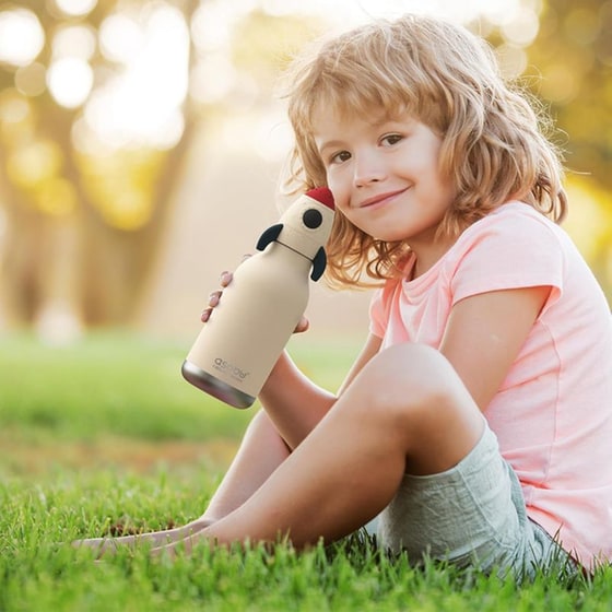 Μπουκάλι Θερμός Asobu Bestie Rocket 460ml image 6