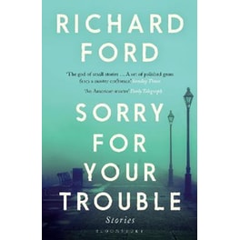 Sorry For Your Trouble