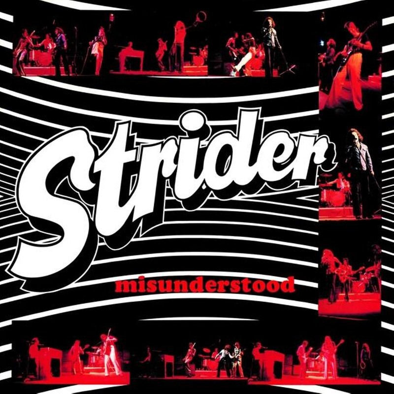 Misunderstood (Collectors Edition)