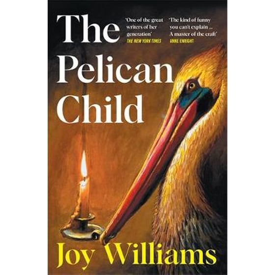 The Pelican Child image 0