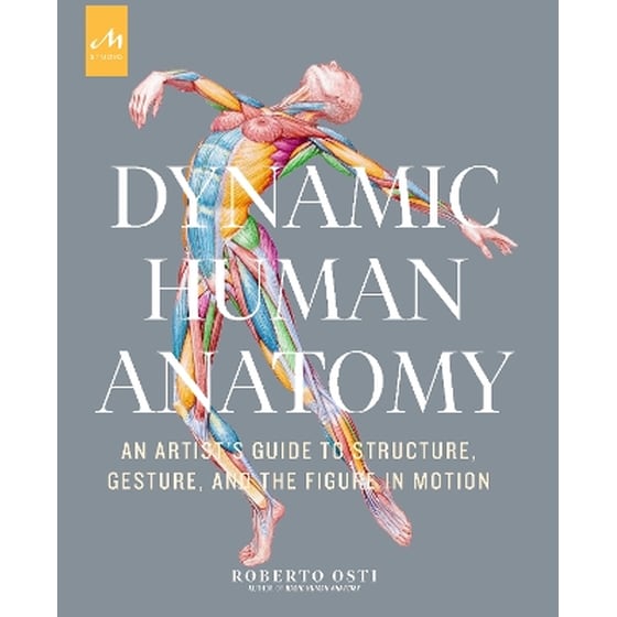 Dynamic Human Anatomy image 0