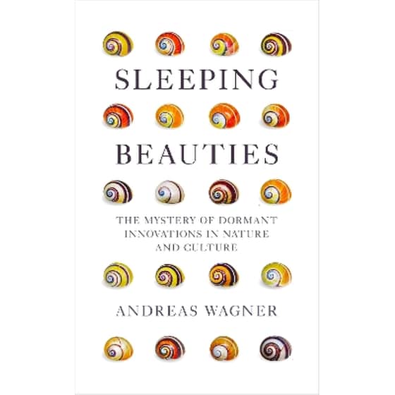 Sleeping Beauties image 0