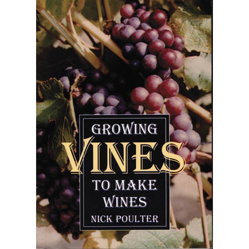Growing Vines to Make Wines