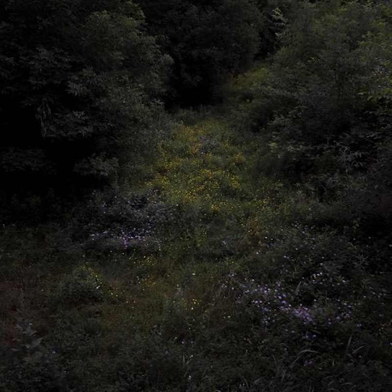 Higher Lonely Power (Cloudy Black Vinyl)