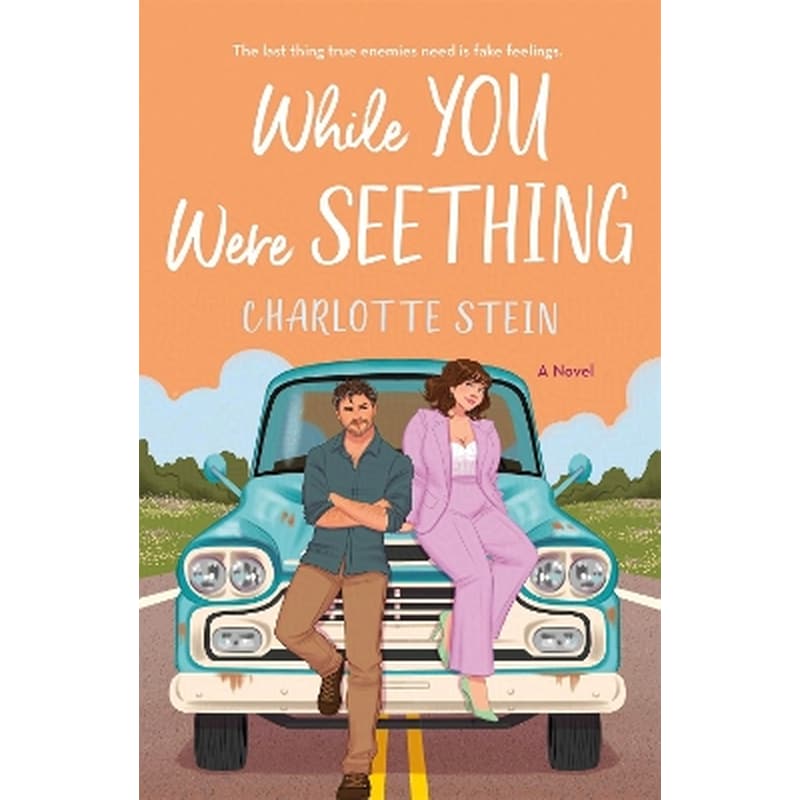 While You Were Seething