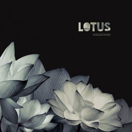 Lotus (LP)
