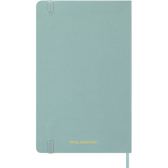 Ημερολόγιο Εβδομαδιαίο Moleskine 2026 12Μ Large Precious & Ethical Mamba Sage Hard image 1