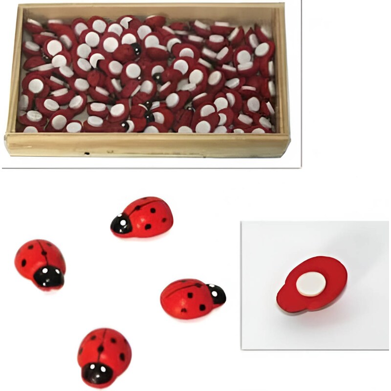 Αυτοκόλλητες Πασχαλίτσες Anhui Tianhui 1.2cm (100 Τεμάχια)