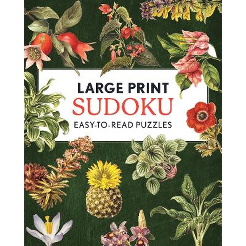 Large Print Sudoku