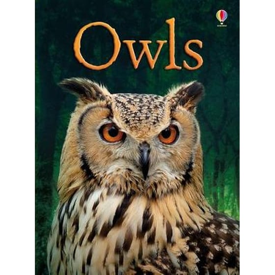 Owls image 0