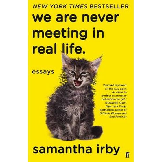 We Are Never Meeting in Real Life image 0