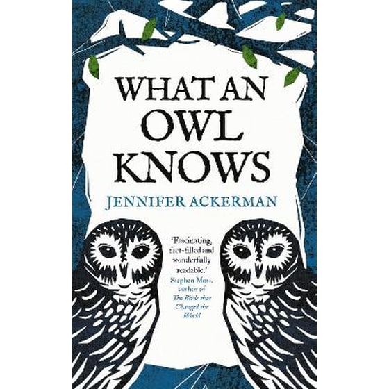What an Owl Knows image 0