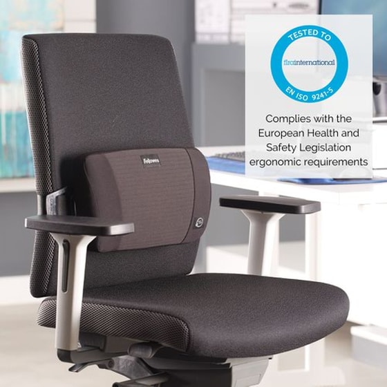 Στήριγμα Μέσης Fellowes Plush Touch image 2