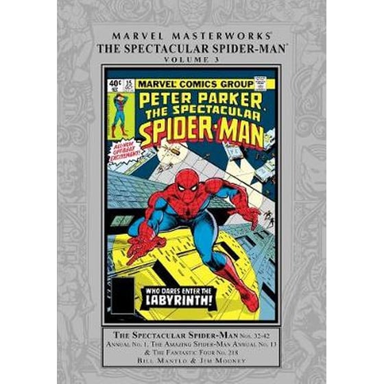 Marvel Masterworks: The Spectacular Spider-man Vol. 3 image 0